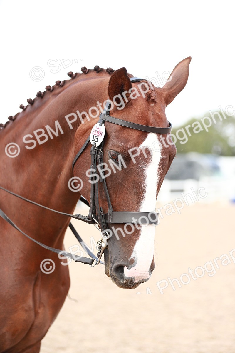 SBM_15526 - Class 213 Ridden Hunter -Large