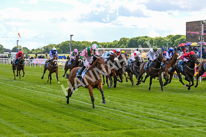 140526-Race 2-Jakajaro-4587 - Race 2 2.20pm Lindum York Handicap