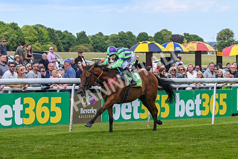 080624-Race 4-Billyb-1239 - Race 4