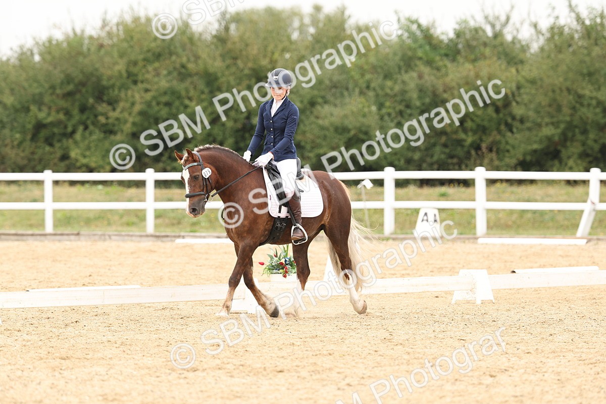 SBM_01034 - Class 8 - Novice 27 Champs