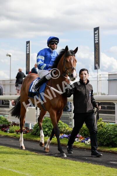 yr21052022r6-12 - Race 6: 4:42pm Yorkshire Regiment Stakes