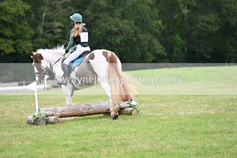 WJ7_7438 - 40cm Time 10:27 to 10:47
