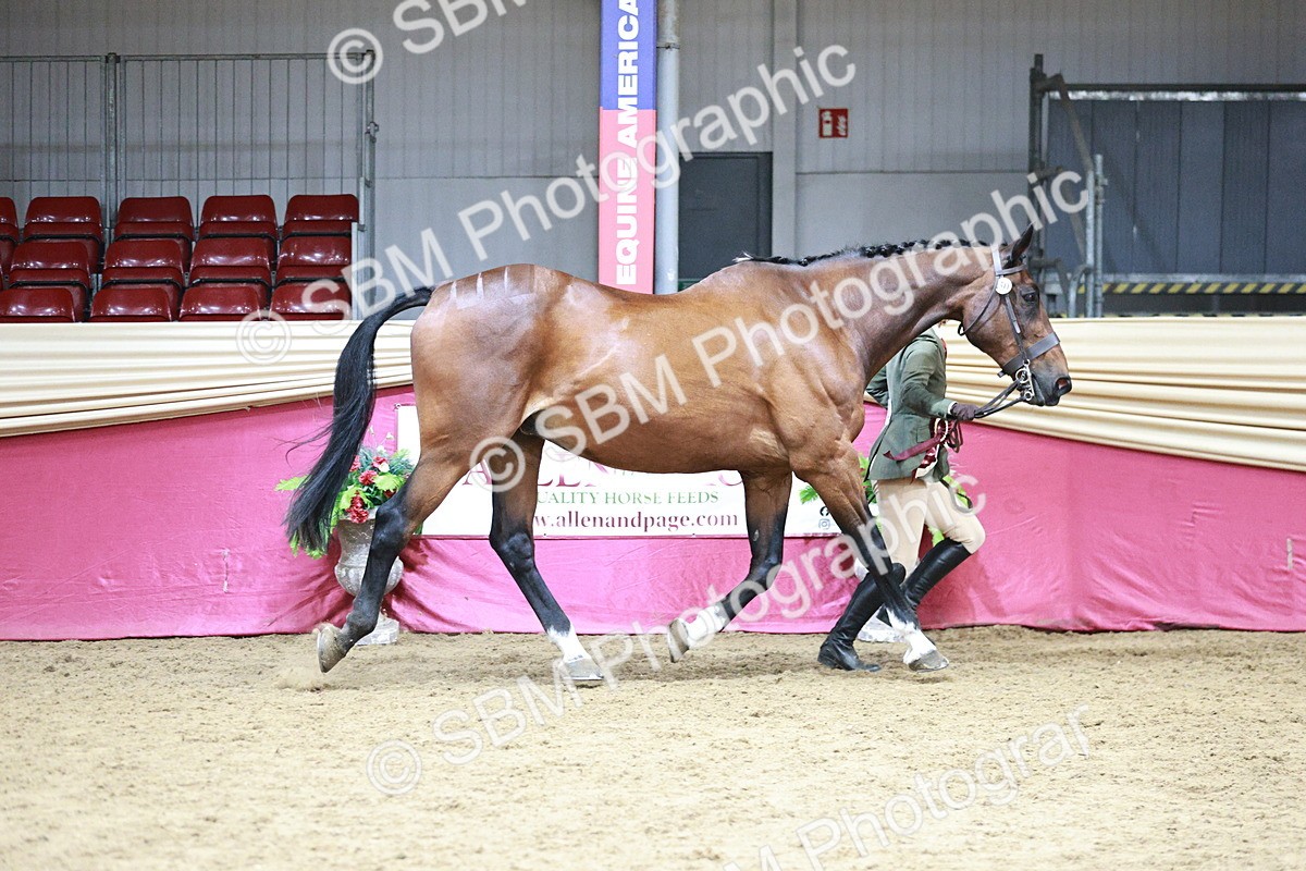 SBM_06628 - Regional - IH Champs