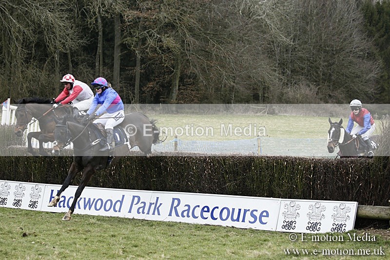 PtP 110318 156 - Hampshire Hunt Point-to-Point Hackwood Park 11/03/18
