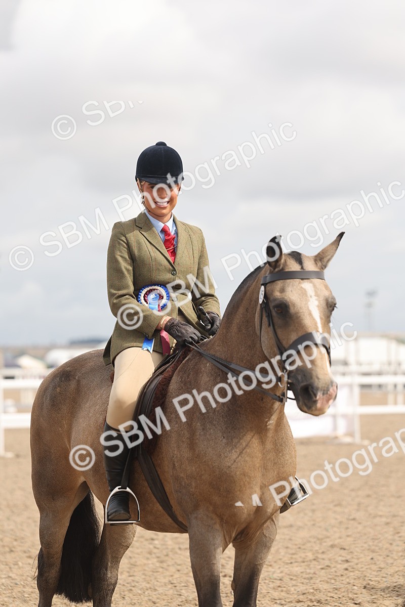 SBM_04580 - Class 19 - Horse/Pony Judge would most like to take home