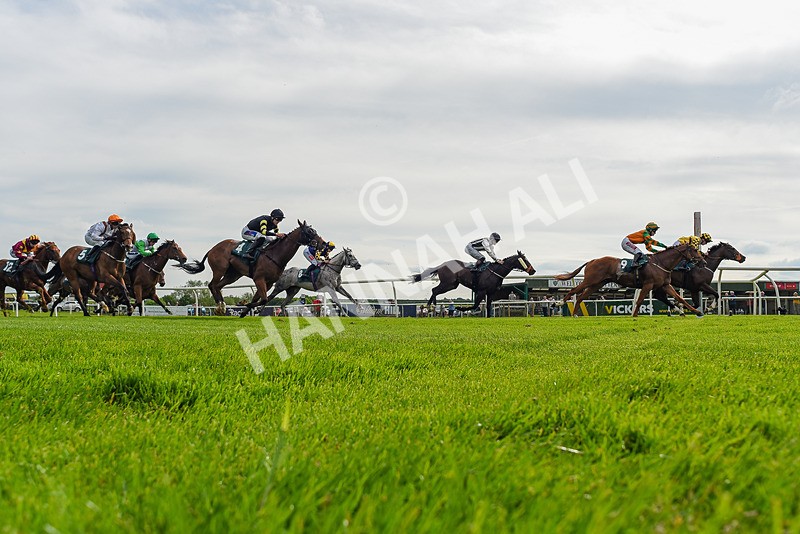 130524-Race 5-Sherdil-9483 - Race 5