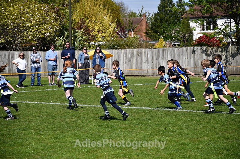  - Selby Rugby Festival 2025