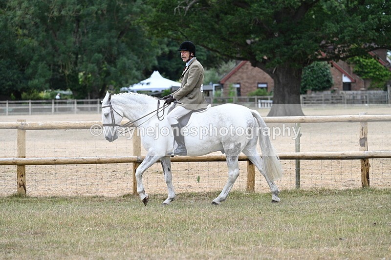 WJ7_0789 - Class 7 Riding Club Show Horse