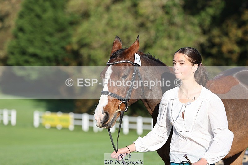 241027-091932-15212 - 375-Erin.Brown-50.SHADES.OF.BAY