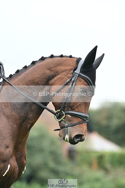 241024-144140-04345 - 584-Tommy.Greengard-I'M.ALL.IN