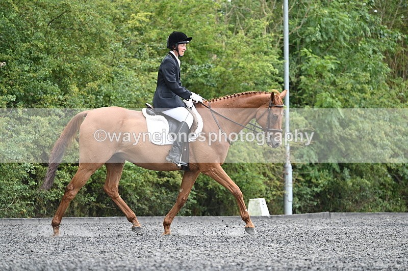 WJ7_7219 - Time 12:53 to 13:18