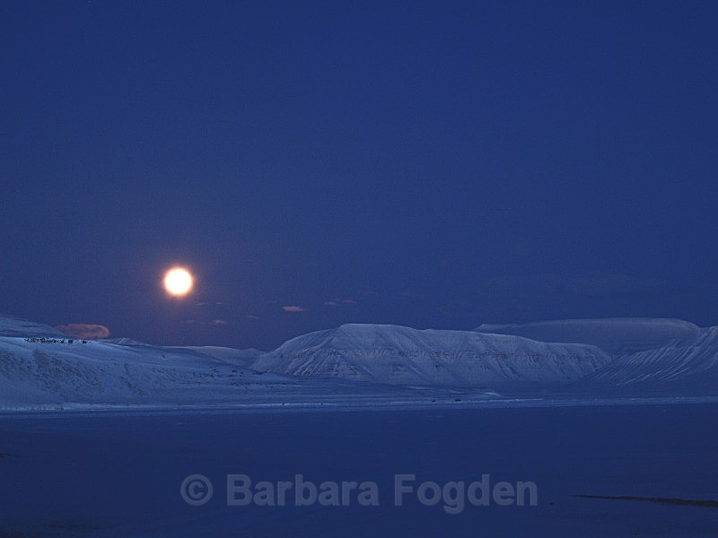 templefjorden 0338 - Polar night