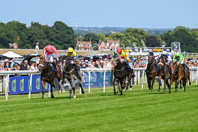 300724-Race 3-Forager-9338 - Race 3