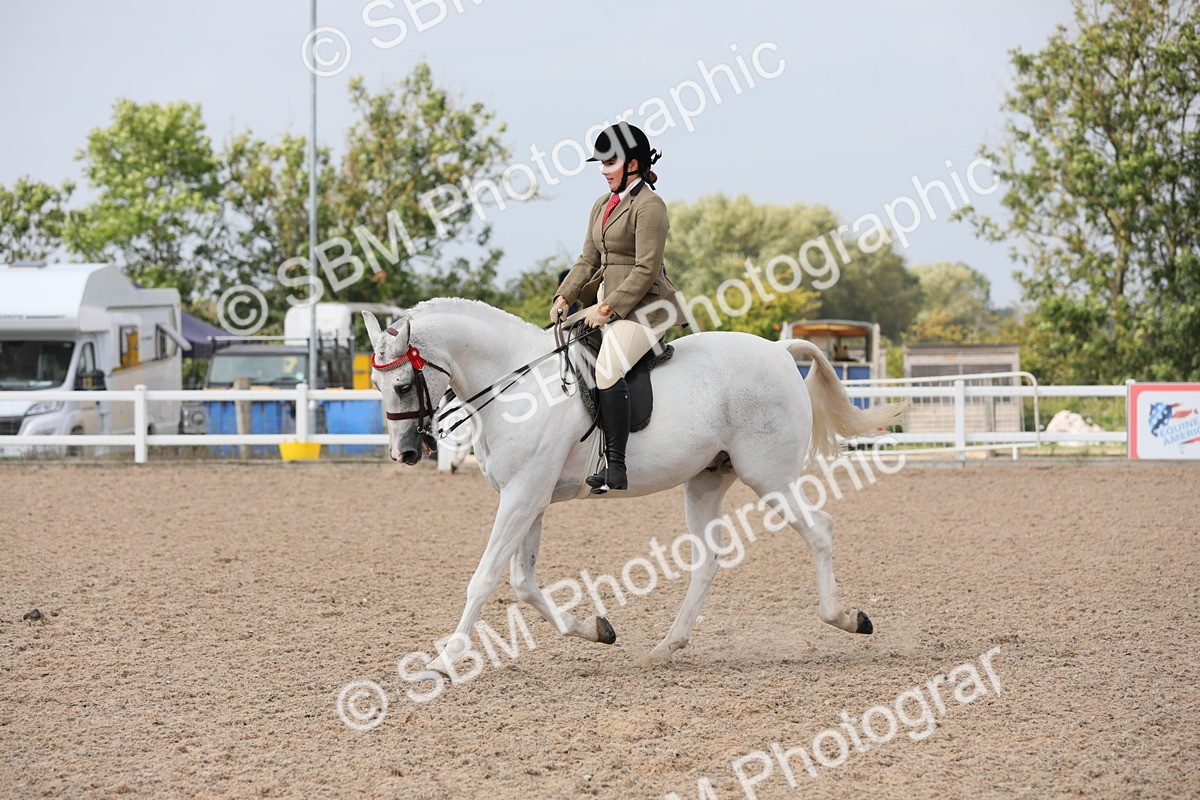 SBM_13353 - Class 308 Ridden Coloured Horse