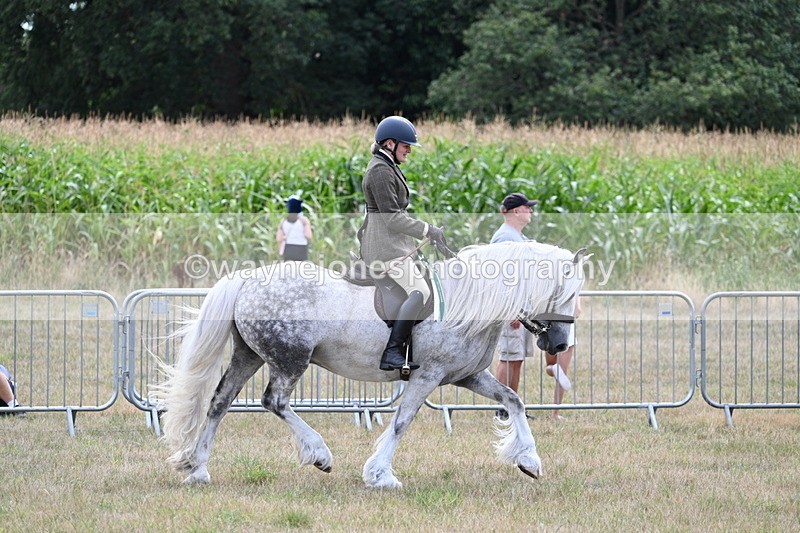 WJ7_5584 - Class 12 Ridden Cob