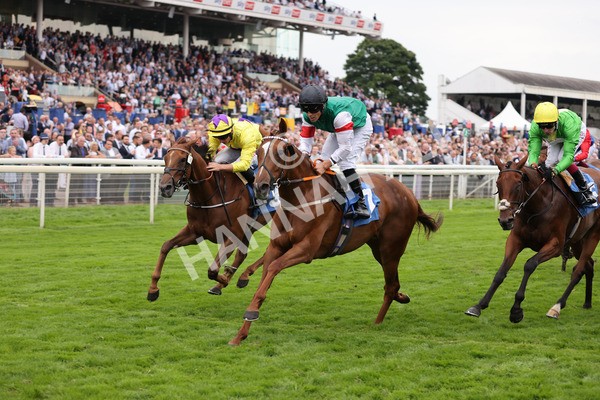 yr20082021r6-27 - Race 6 4.40pm Assured Data Protection British EBF Fillies' Stakes