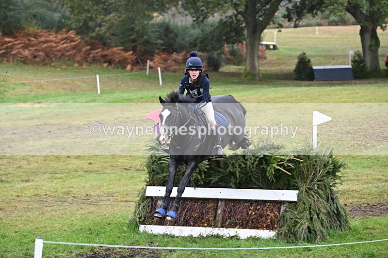 WJ6_2551 - 80cm Cam 1 Time 11:23 to 12:04