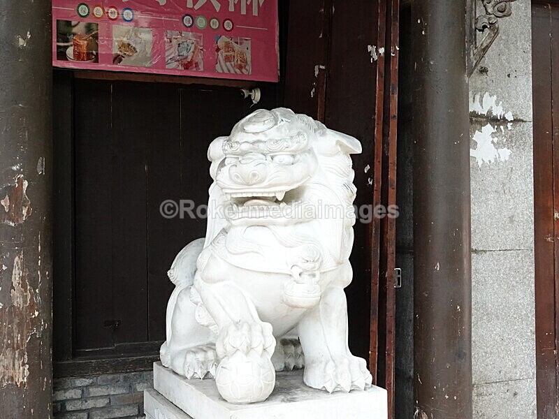 CHINA__0244 - China 2019