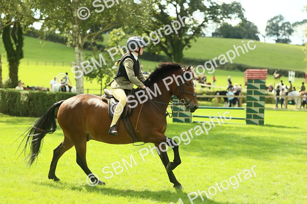 SBM_42986 - S30 - M&M Working hunter Pony