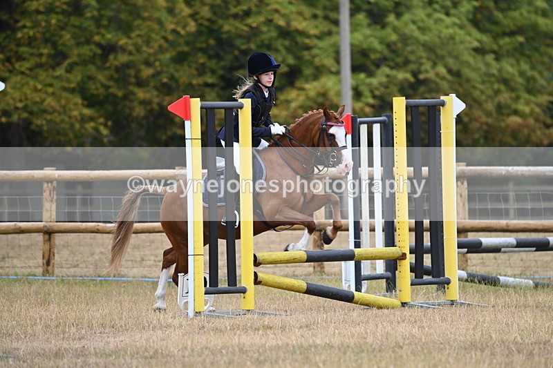 WJ6_0153 - Class 13 Novice Jumping 60cm