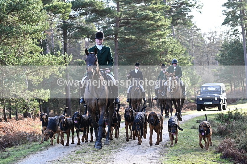 WJ7_7698 - Line 3 (no line 4 or 5)