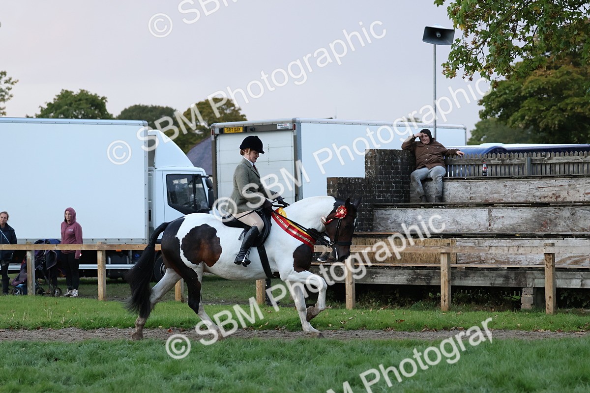 SBM_53427 - Super Supreme Championship (Sat)