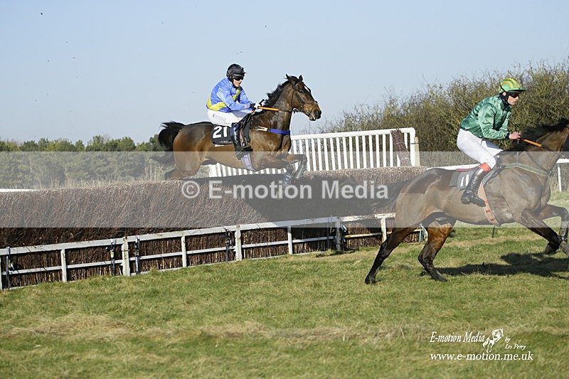 PtP 270222 323 - South & West Wilts Point-to-Point Larkhill 27/02/22