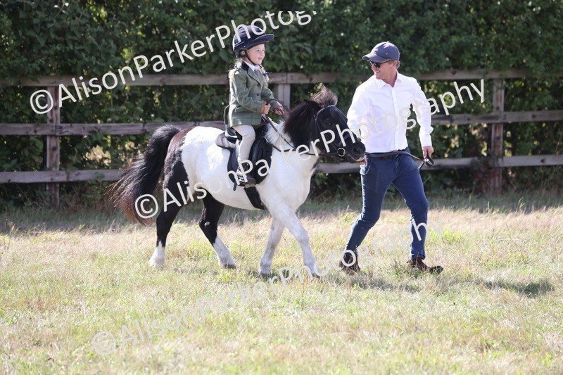 20260906-2790 - Class 25 - Absolute Beginners Pony