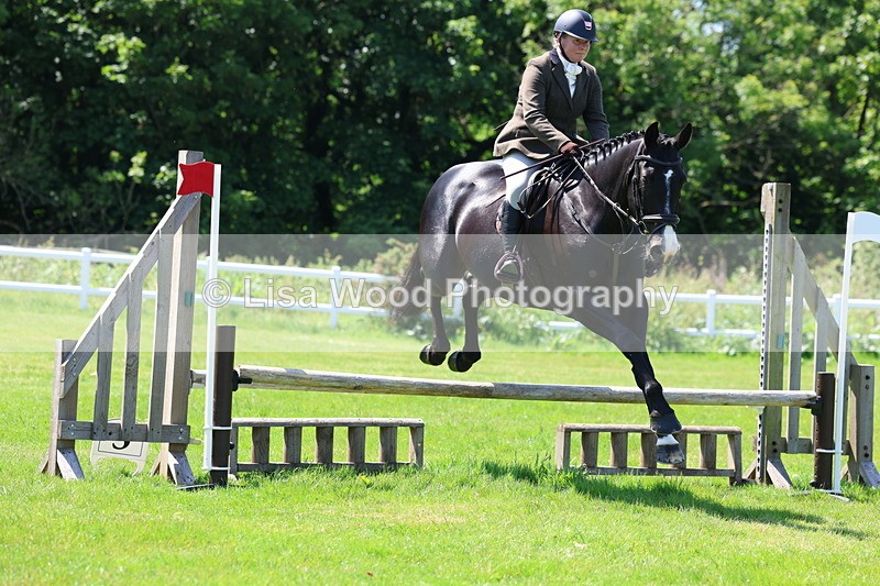 3E7A6998 - Class 30: Novice Working Hunter