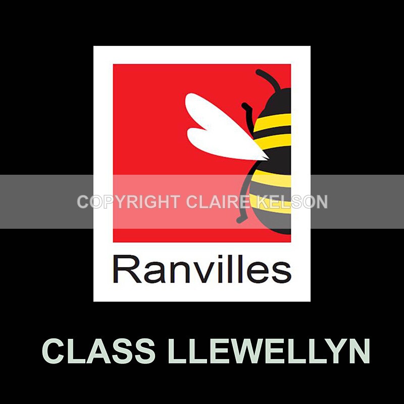 CLASS LLEWELLYN jpg - RANVILLES JUNIORS CLASS PHOTOS 2025