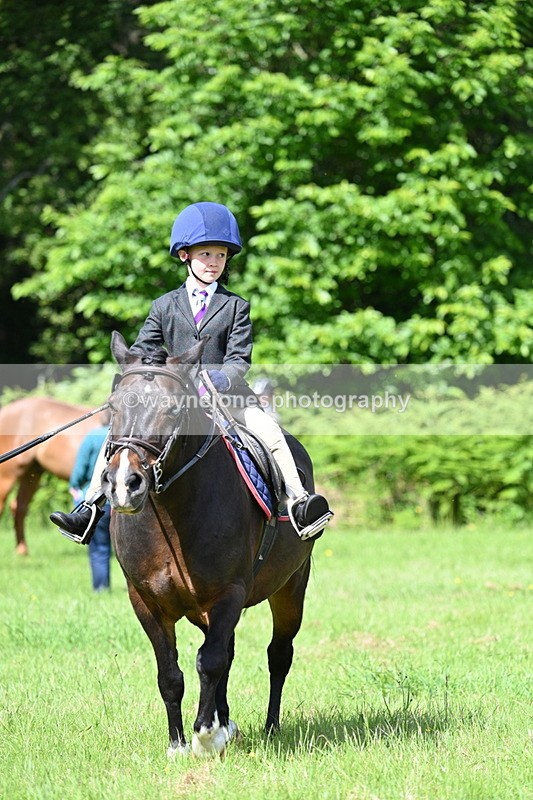 WJ7_1059 - Class 11 Condition & Turnout
