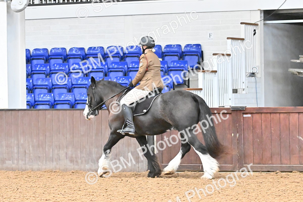 SBM_001395 - Class 18 - Ridden Cob