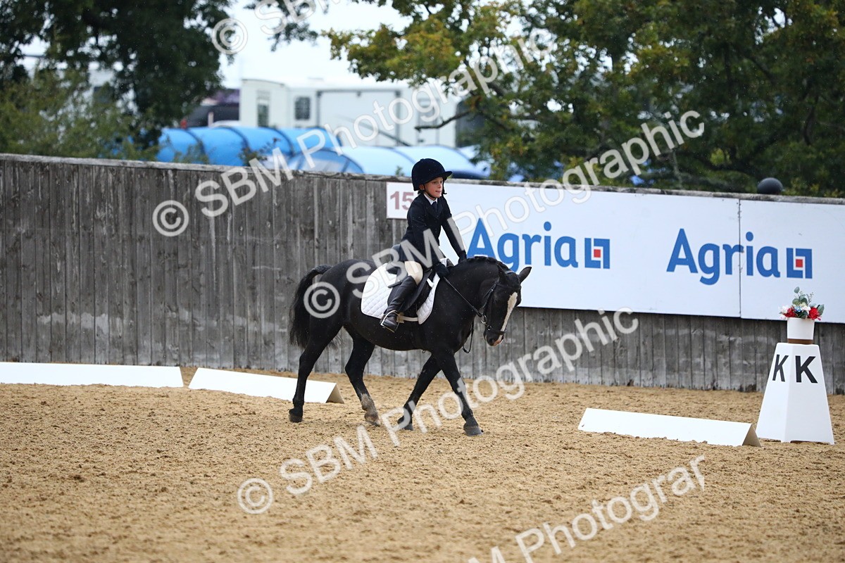 SBM_42809 - D21 - Junior Championship Intro 1