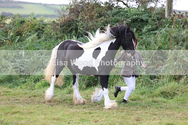 3E7A5344 - Class 19: Best Coloured in Hand