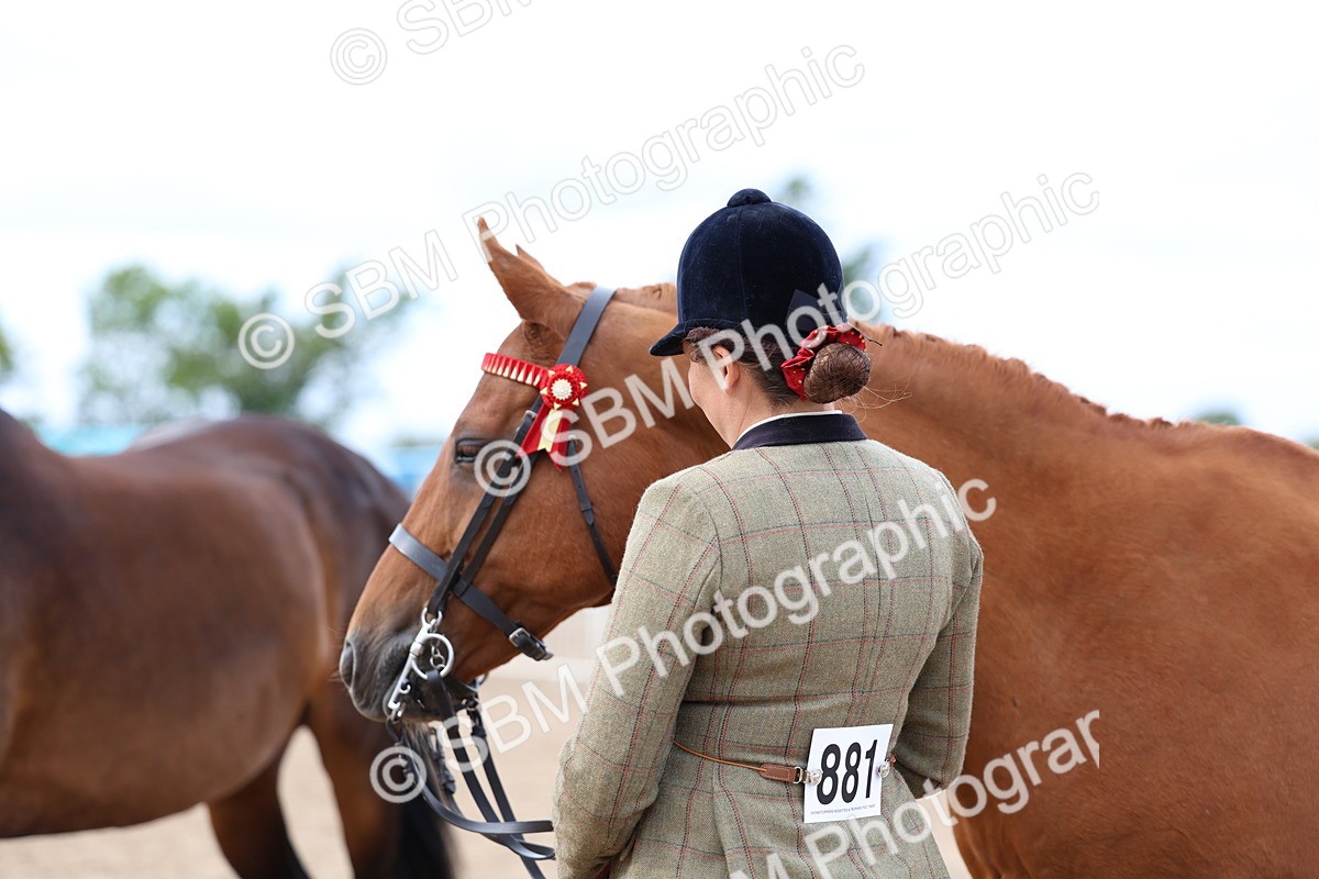 SBM_05781 - Class 28 - IH Veteran Horse