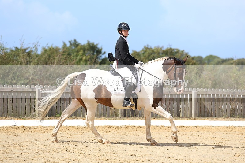 3E7A4138 - Class 9: Novice 6 Section B Championship