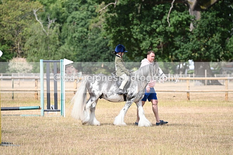 WJ6_7564 - Class 9 Tack and Turnout