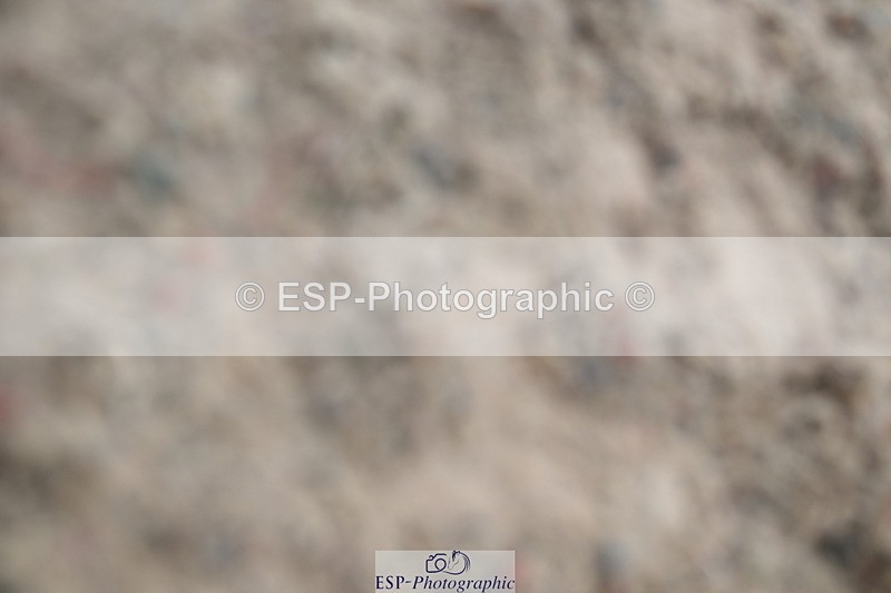 240609A-105333-04188 - Cls 22 Pony Discovery 2nd Round