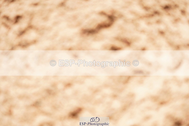 240524A-110304-02985 - Cls 14 Newcomers