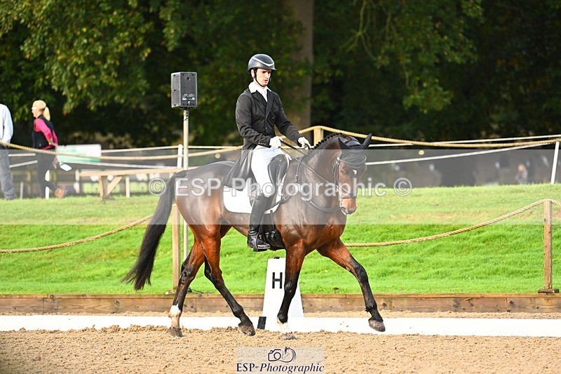 231021-091454-12809 - 324-HAZZLE.DAZZLE-Henry.Hobby-DR