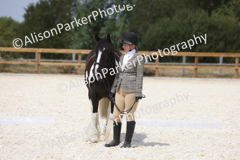 20260802-1518 - Class 16 - Best Horse or Pony