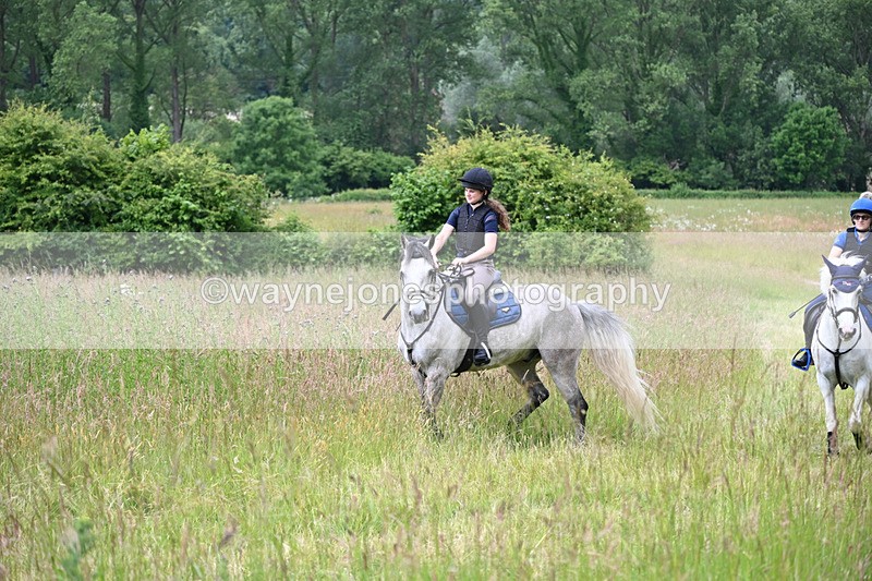 WJ6_7945 - Camera 1 Gallops