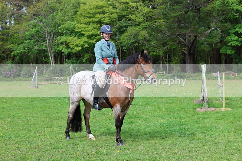 3E7A2750 - Working Hunter Championship