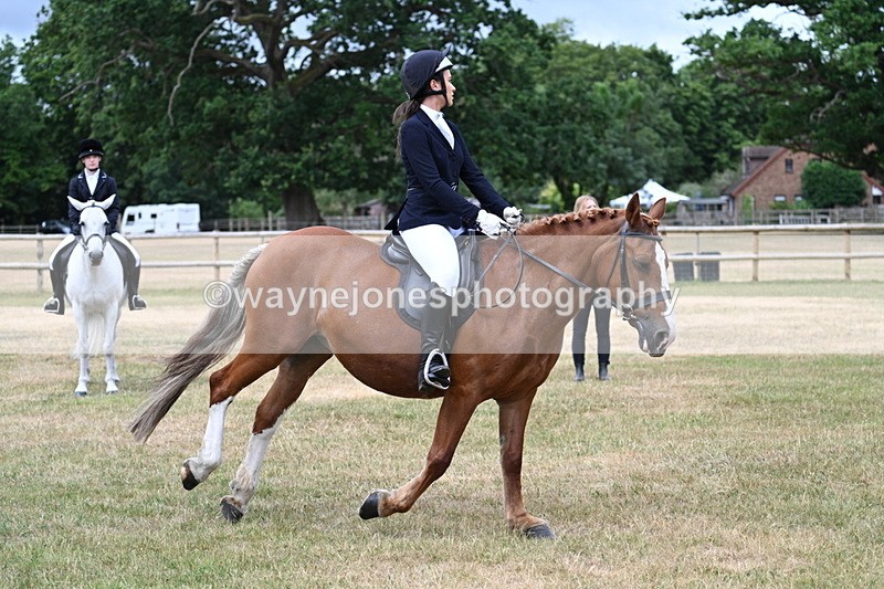 WJ7_0560 - Class 2 Best rider