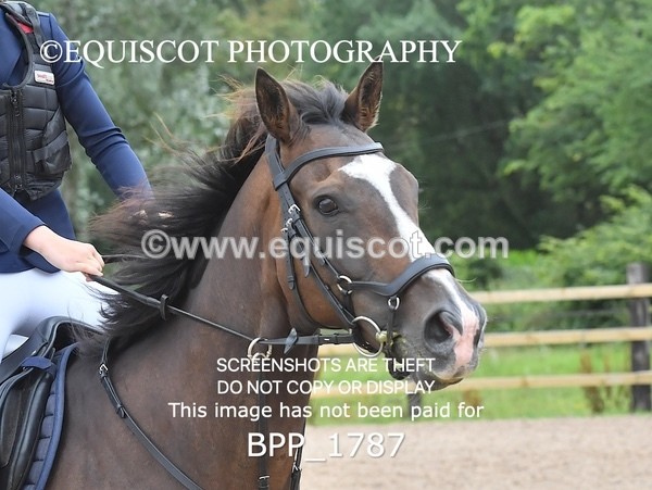 BPP_1787 - DERBY CLASS 5 - 60CM