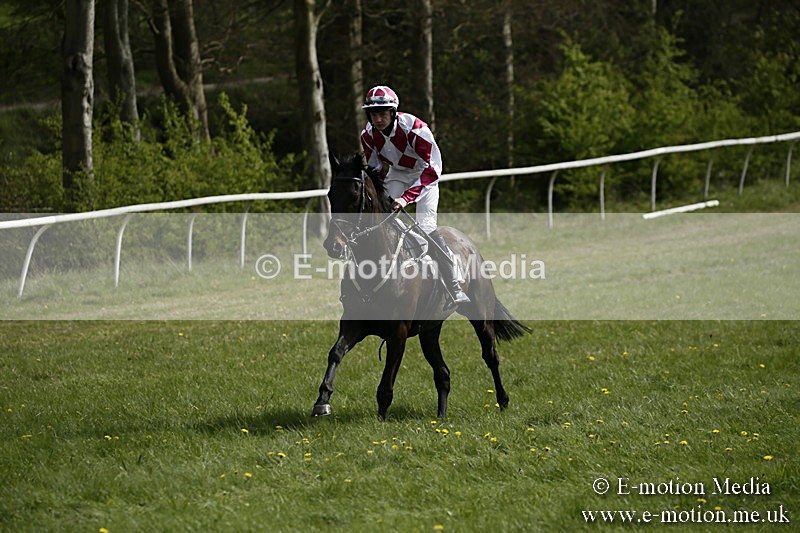 PtP 170417 238 - Old Berks Point-to-Point Lockinge 17/04/17
