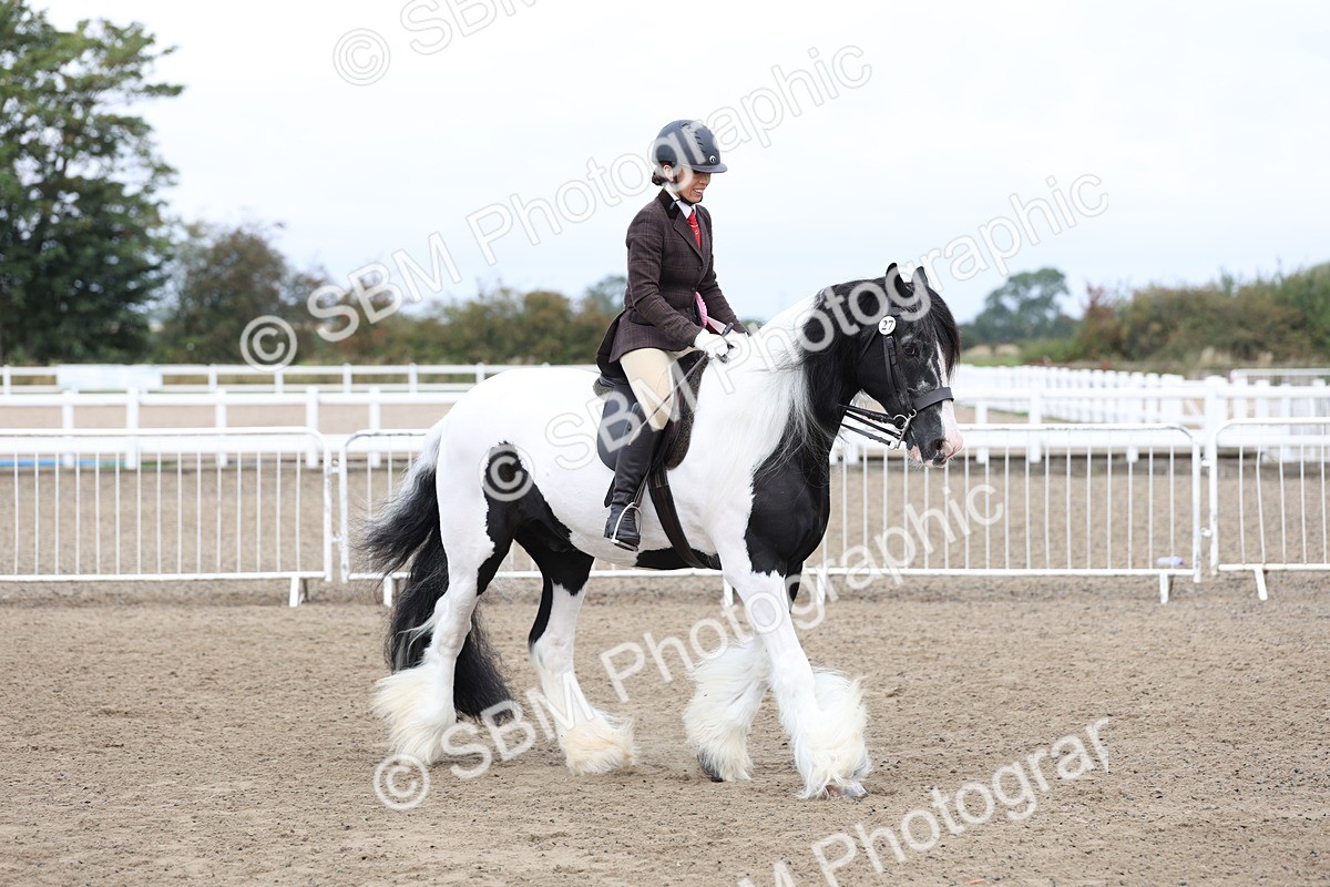 SBM_01452 - Class 51 - Best Turned Out Ridden