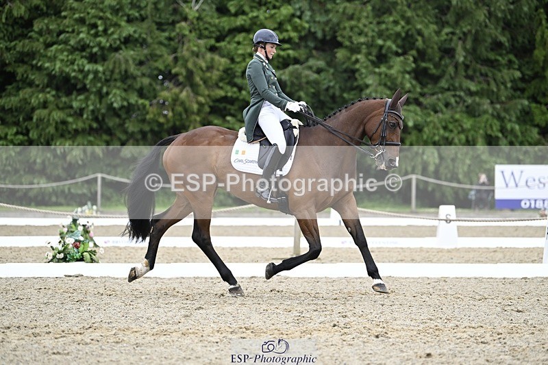 000101-212636-04311 - 412-WELLFIELDS_LINCOLN-Susie_Berry