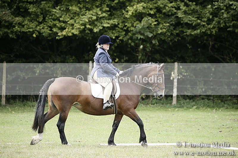 BVR080918 173 - BVRC Novice Dressage & CR 08/09/18