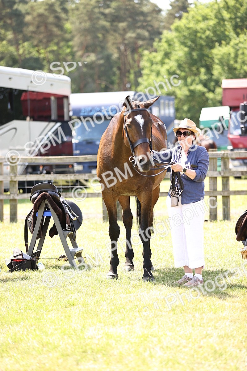 SBM_15167 - Class 79-80 - LIHS BSHA Rising Star Ridden Hunter
